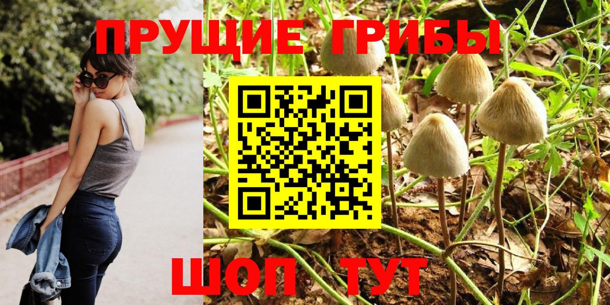 Псилоцибиновые грибы Psilocybe  Вход с VPN  Белореченск  Псилоцибиновые грибы мухоморы 